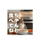 動く！主婦猫の日常（個別スタンプ：8）