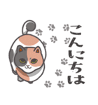 三毛猫ニャ―♥（個別スタンプ：3）