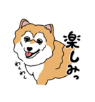 柴犬ラックル（個別スタンプ：5）