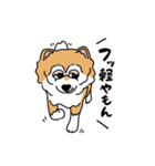 柴犬ラックル（個別スタンプ：7）