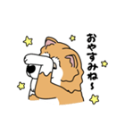 柴犬ラックル（個別スタンプ：8）