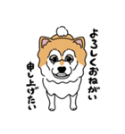 柴犬ラックル（個別スタンプ：11）