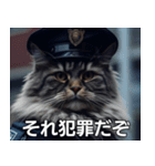 猫警察だ（個別スタンプ：7）