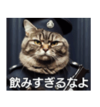 猫警察だ（個別スタンプ：27）