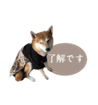 かなまる_まる（個別スタンプ：6）