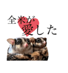 モモンガなんだ 販売（個別スタンプ：15）
