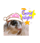 モモンガなんだ 販売（個別スタンプ：17）