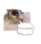 モモンガなんだ 販売（個別スタンプ：21）