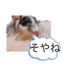 モモンガなんだ 販売（個別スタンプ：23）