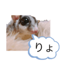 モモンガなんだ 販売（個別スタンプ：26）