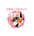 モモンガなんだ 販売（個別スタンプ：35）