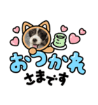 pworld_20240207222047（個別スタンプ：2）