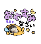 pworld_20240207222047（個別スタンプ：3）