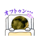 レオ・チョコ・虎鹿愛犬の日常挨拶（個別スタンプ：1）