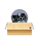 レオ・チョコ・虎鹿愛犬の日常挨拶（個別スタンプ：4）