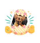 レオ・チョコ・虎鹿愛犬の日常挨拶（個別スタンプ：5）