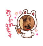 レオ・チョコ・虎鹿愛犬の日常挨拶（個別スタンプ：8）