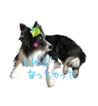 HEY！YOKE！（個別スタンプ：3）