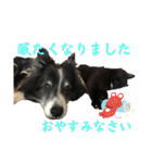 HEY！YOKE！（個別スタンプ：8）