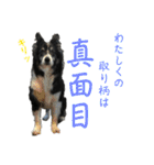 HEY！YOKE！（個別スタンプ：9）