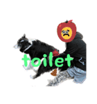 HEY！YOKE！（個別スタンプ：17）