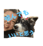 HEY！YOKE！（個別スタンプ：21）