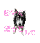 HEY！YOKE！（個別スタンプ：23）