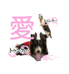 HEY！YOKE！（個別スタンプ：26）