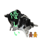 HEY！YOKE！（個別スタンプ：28）