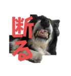 HEY！YOKE！（個別スタンプ：30）