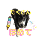 HEY！YOKE！（個別スタンプ：32）