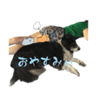 HEY！YOKE！（個別スタンプ：38）