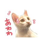 元野良チャミ（個別スタンプ：29）