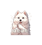 犬のスタンプ（サモエド）（個別スタンプ：39）