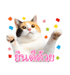 【タイ語】気持ちを伝える♡かわいい三毛猫（個別スタンプ：12）