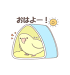 大インコ帝国の日常スタンプ①（個別スタンプ：1）