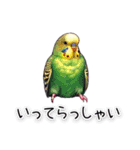 かわいいインコちゃんと日常会話（個別スタンプ：7）