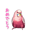 かわいいインコちゃんと日常会話（個別スタンプ：9）