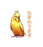 かわいいインコちゃんと日常会話（個別スタンプ：16）