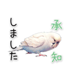 かわいいインコちゃんと日常会話（個別スタンプ：23）