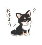 可愛い黒チワワ犬の日常会話（個別スタンプ：9）