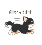 可愛い黒チワワ犬の日常会話（個別スタンプ：23）