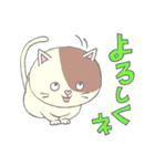 顔デカめ猫（個別スタンプ：38）