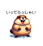 ドット絵 マーモット 日常会話 40種（個別スタンプ：28）