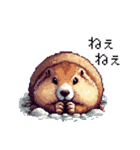 ドット絵 マーモット 日常会話 40種（個別スタンプ：31）