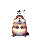 ドット絵 マーモット 日常会話 40種（個別スタンプ：40）