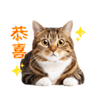 気持ちを伝える♡キジトラ猫！(台湾版)（個別スタンプ：10）
