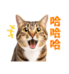 気持ちを伝える♡キジトラ猫！(台湾版)（個別スタンプ：22）