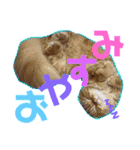いぶりお（個別スタンプ：7）