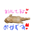 いぶりお（個別スタンプ：8）